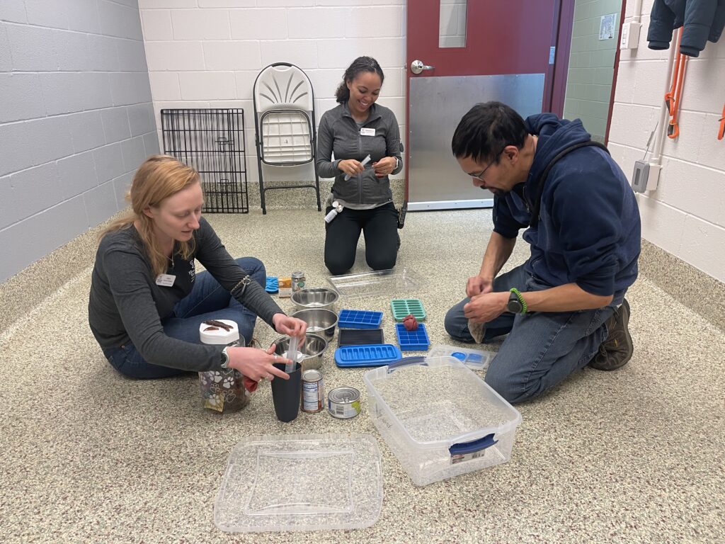 HSPPR behavior technicians preparing enrichment toys for dogs and cats.