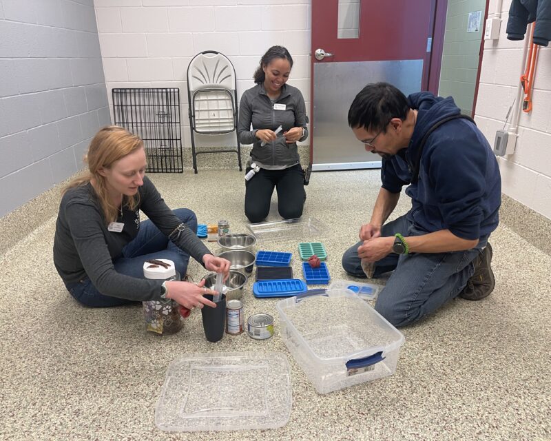 HSPPR behavior technicians preparing enrichment toys for dogs and cats.